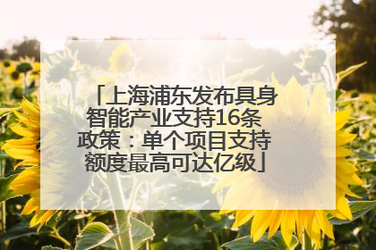 上海浦东发布具身智能产业支持16条政策：单个项目支持额度最高可达亿级