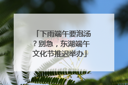 下雨端午要泡汤？别急，东湖端午文化节推迟举办