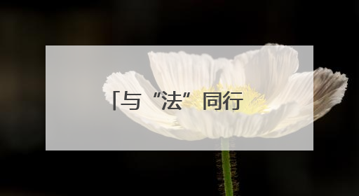 与“法”同行 “典”亮港口 宿迁港口集团组织开展“民法典宣传月”系列活动