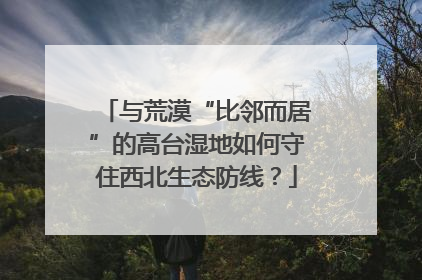 与荒漠“比邻而居”的高台湿地如何守住西北生态防线？