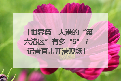 世界第一大港的“第六港区”有多“6”？记者直击开港现场