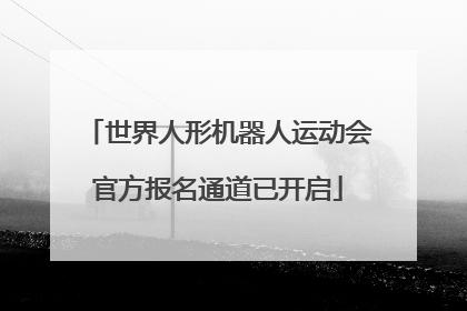 世界人形机器人运动会官方报名通道已开启