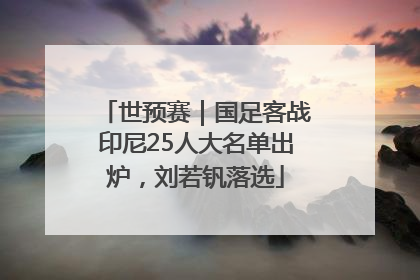 世预赛｜国足客战印尼25人大名单出炉，刘若钒落选