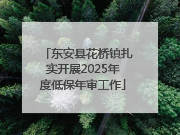 东安县花桥镇扎实开展2025年度低保年审工作