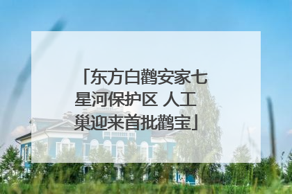 东方白鹳安家七星河保护区 人工巢迎来首批鹳宝