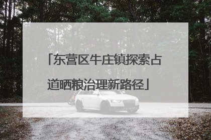 东营区牛庄镇探索占道晒粮治理新路径