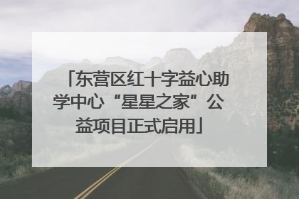东营区红十字益心助学中心“星星之家”公益项目正式启用