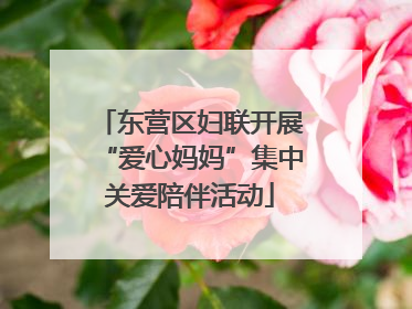 东营区妇联开展“爱心妈妈”集中关爱陪伴活动
