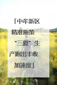 中牟新区精准施策 “三夏”生产跑出丰收加速度