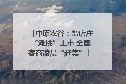 中原农谷：盐店庄“滩桃”上市 全国客商凌晨“赶集”