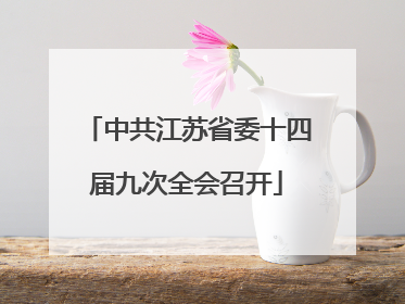 中共江苏省委十四届九次全会召开