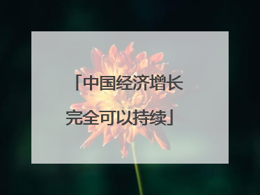 中国经济增长完全可以持续