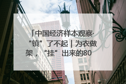 中国经济样本观察·“镇”了不起｜为衣做架，“挂”出来的80亿元“衣架产业”
