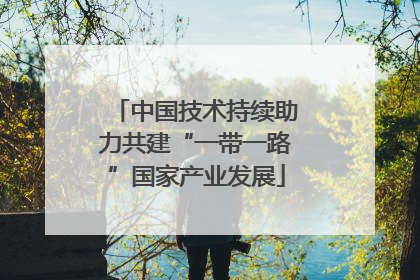 中国技术持续助力共建“一带一路”国家产业发展