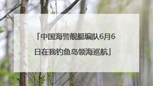 中国海警舰艇编队6月6日在我钓鱼岛领海巡航