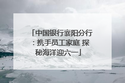 中国银行襄阳分行：携手员工家庭 探秘海洋迎六一