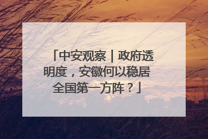 中安观察｜政府透明度，安徽何以稳居全国第一方阵？