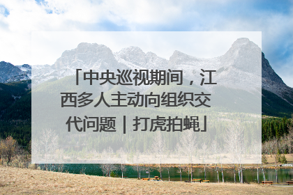 中央巡视期间，江西多人主动向组织交代问题｜打虎拍蝇