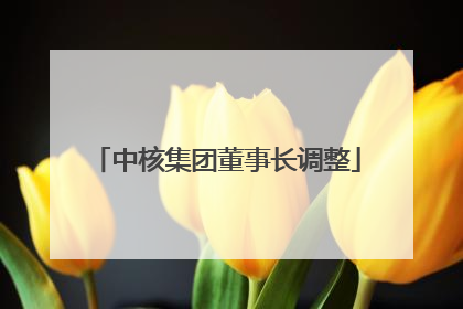 中核集团董事长调整