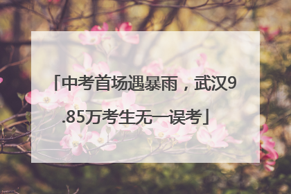 中考首场遇暴雨，武汉9.85万考生无一误考