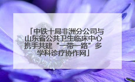 中铁十局非洲分公司与山东省公共卫生临床中心携手共建“一带一路”多学科诊疗协作网