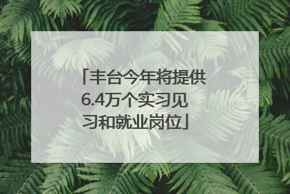丰台今年将提供6.4万个实习见习和就业岗位