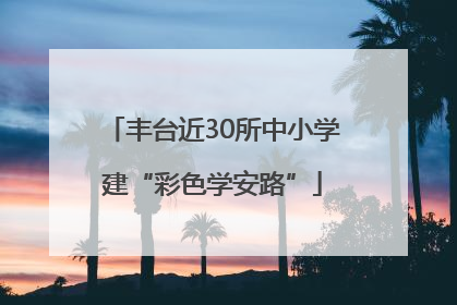 丰台近30所中小学建“彩色学安路”