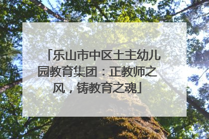 乐山市中区土主幼儿园教育集团：正教师之风，铸教育之魂