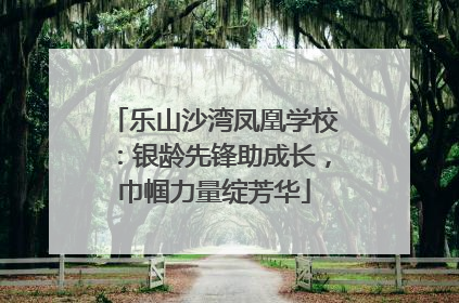 乐山沙湾凤凰学校：银龄先锋助成长，巾帼力量绽芳华