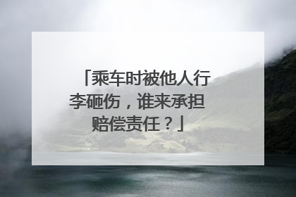乘车时被他人行李砸伤，谁来承担赔偿责任？