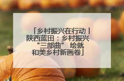 乡村振兴在行动丨陕西蓝田：乡村振兴 “三部曲” 绘就和美乡村新画卷