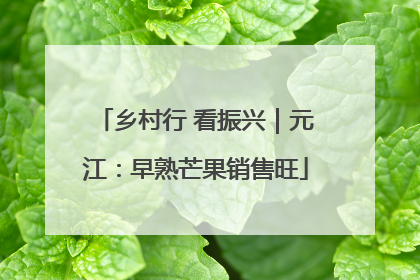 乡村行 看振兴｜元江：早熟芒果销售旺