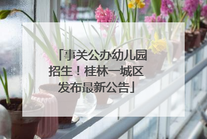 事关公办幼儿园招生！桂林一城区发布最新公告