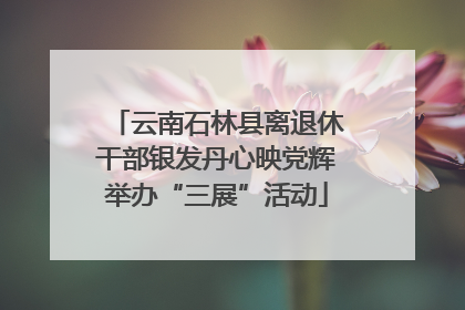 云南石林县离退休干部银发丹心映党辉举办“三展”活动