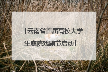 云南省首届高校大学生庭院戏剧节启动