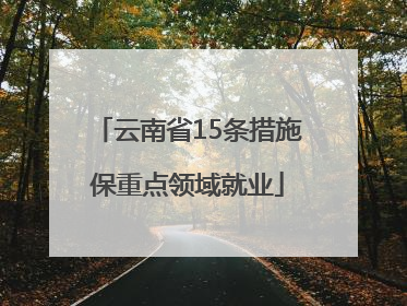 云南省15条措施保重点领域就业