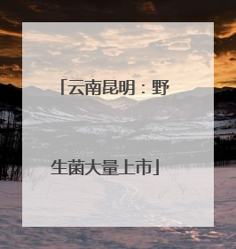 云南昆明：野生菌大量上市