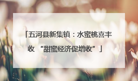 五河县新集镇：水蜜桃喜丰收 “甜蜜经济促增收”