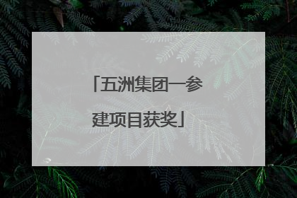 五洲集团一参建项目获奖