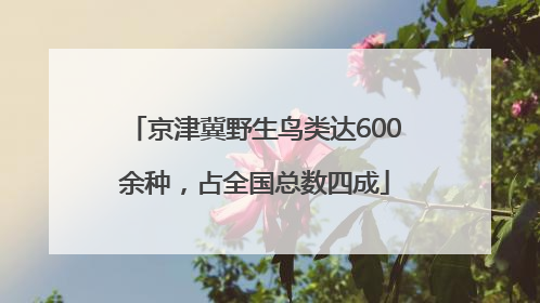 京津冀野生鸟类达600余种，占全国总数四成