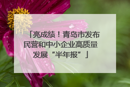 亮成绩！青岛市发布民营和中小企业高质量发展“半年报”