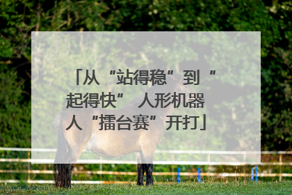 从“站得稳”到“起得快” 人形机器人“擂台赛”开打
