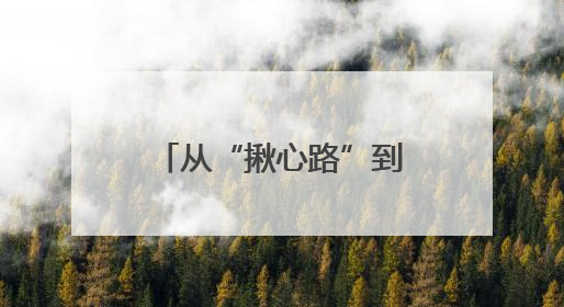 从“揪心路”到“连心路”，政协委员牵线解民忧