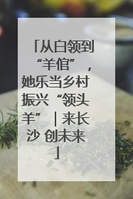 从白领到“羊倌”，她乐当乡村振兴“领头羊”｜来长沙 创未来
