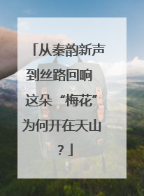 从秦韵新声到丝路回响 这朵“梅花”为何开在天山？