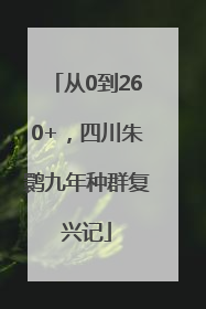 从0到260+，四川朱鹮九年种群复兴记