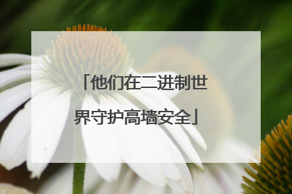 他们在二进制世界守护高墙安全