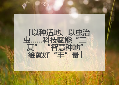 以种适地、以虫治虫……科技赋能“三夏” “智慧种地”绘就好“丰”景