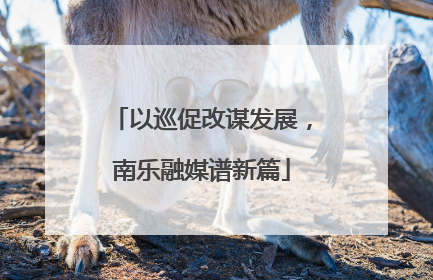 以巡促改谋发展，南乐融媒谱新篇