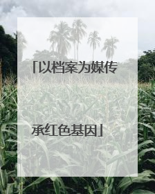 以档案为媒传承红色基因
